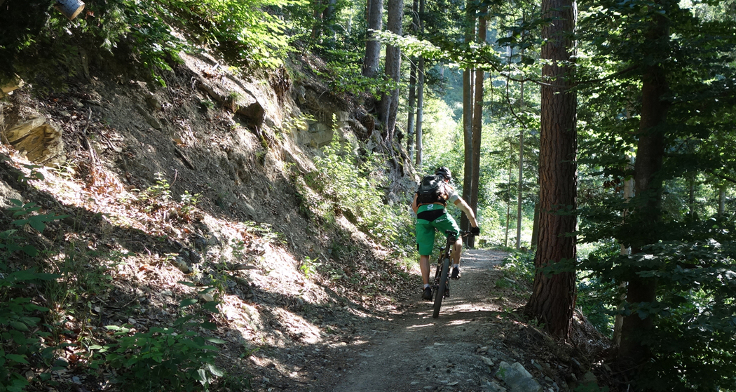 Flowiger Trail zurück in die Stadt Chur