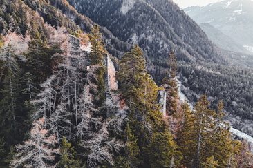 Burgruine Ober Ruchenberg