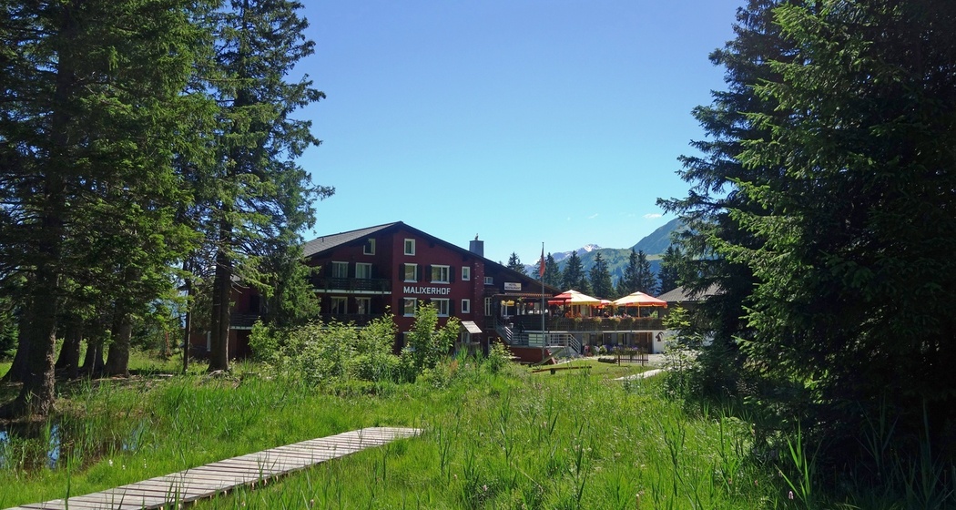 Malixerhof Brambrüesch im Sommer