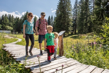 Moorpfad Riedboden, Brambrüesch
