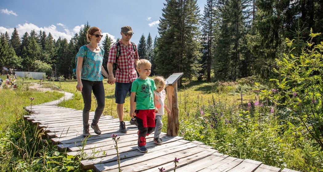 Moorpfad Riedboden, Brambrüesch