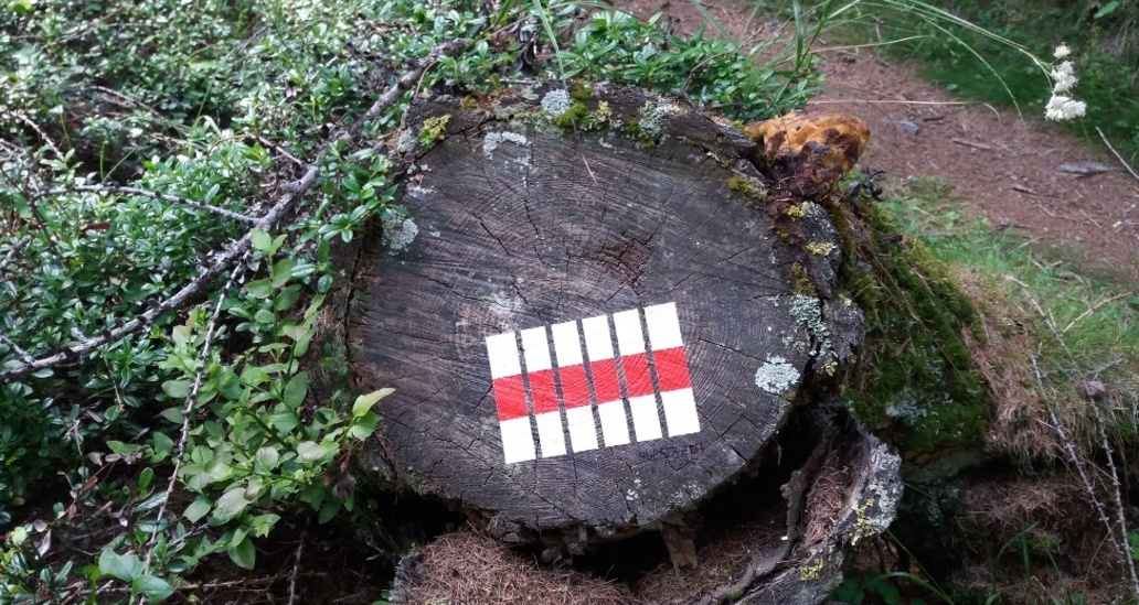 Le colonne verdi - Die grünen Säulen