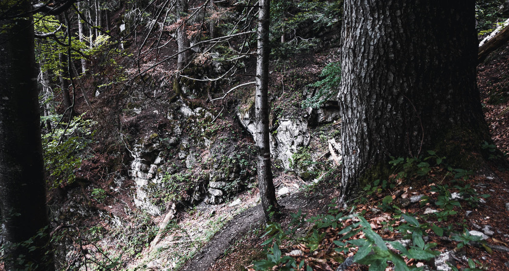Kaltbrunntobel-Trail