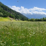 T 11 Via Francisca: Lukmanier - Aquila