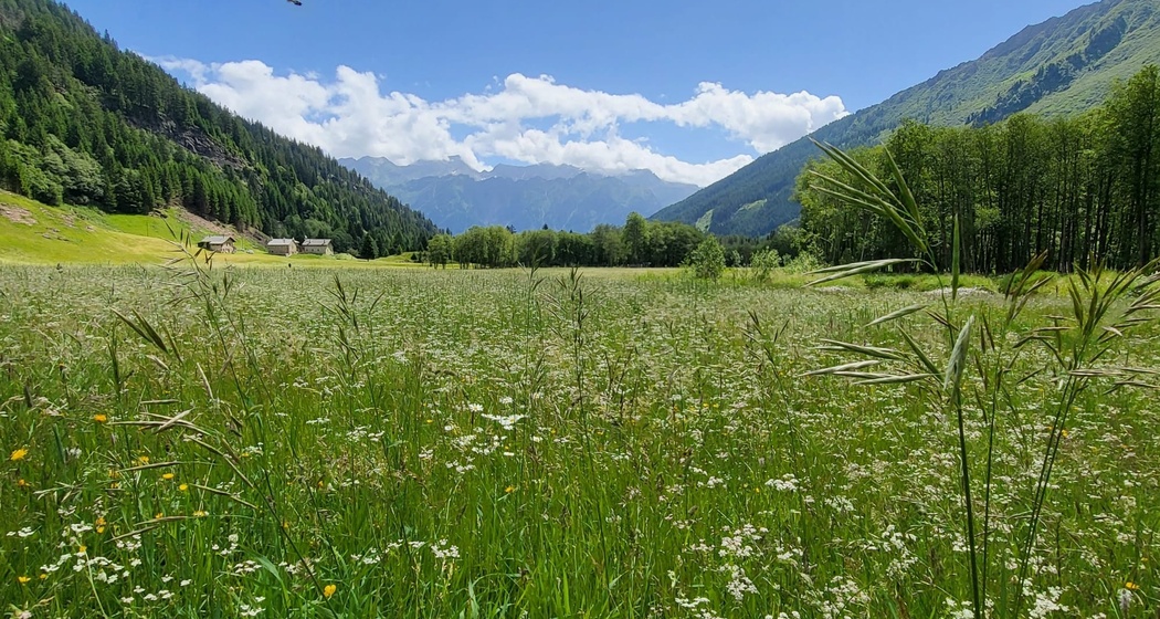 T 11 Via Francisca: Lukmanier - Aquila