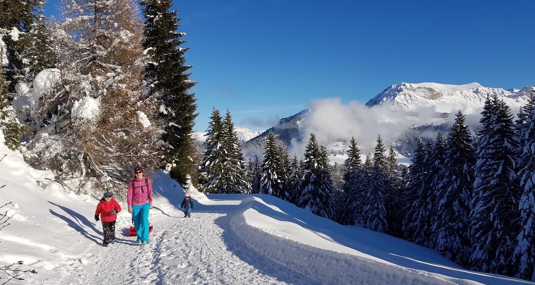 Edelweissrundweg Brambrüesch