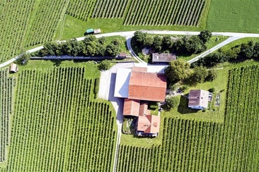 Weingut Ueli & Jürg Liesch