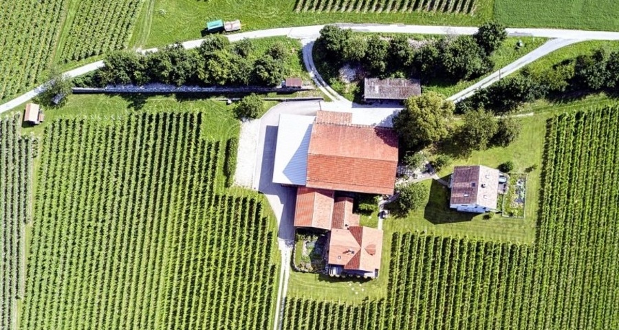 Weingut Ueli & Jürg Liesch