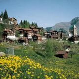 Tschiertschen – Ochsenalp – Arosa