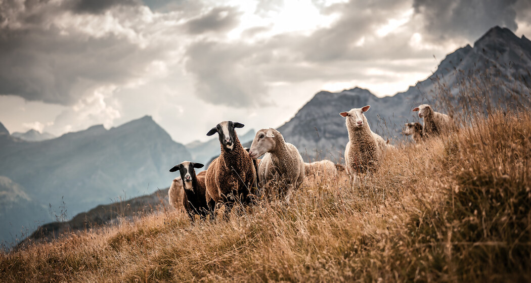 Hofladen Bio Yak Hof Heinz