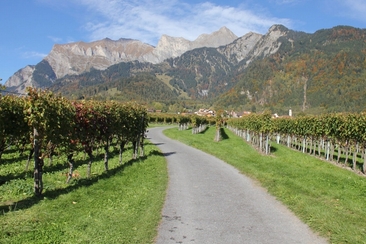 Weinregion Bündner Herrschaft