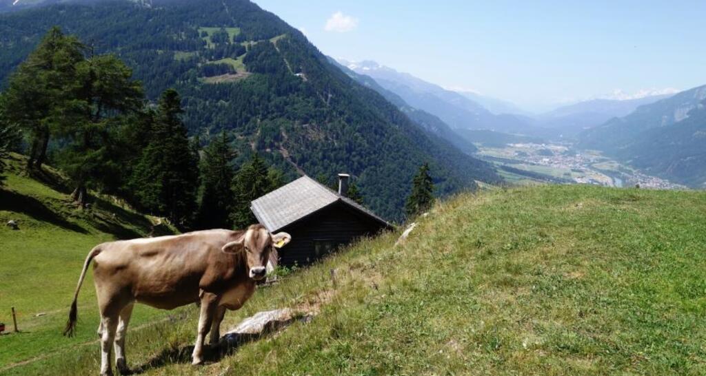 Mittenberg mit Blick ins Churer Rheintal