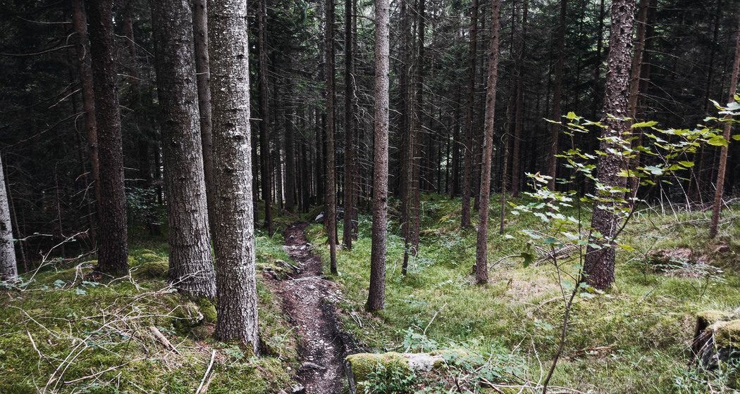 Fürstenflow Royale Superiore