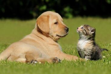 Qualipet Center Chur