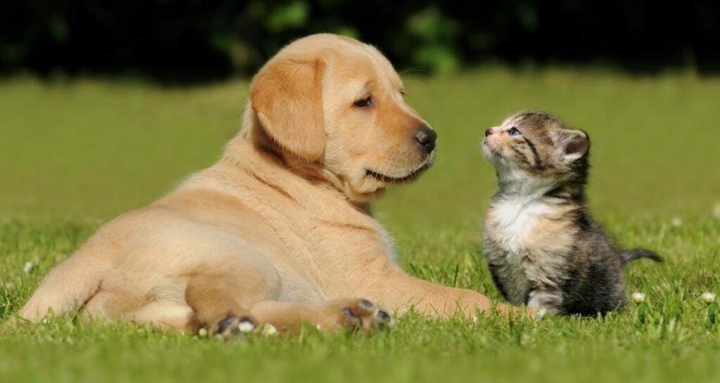 Qualipet Center Chur