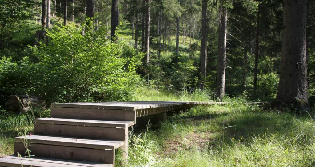 Rözenwald und Flachswaschteiche