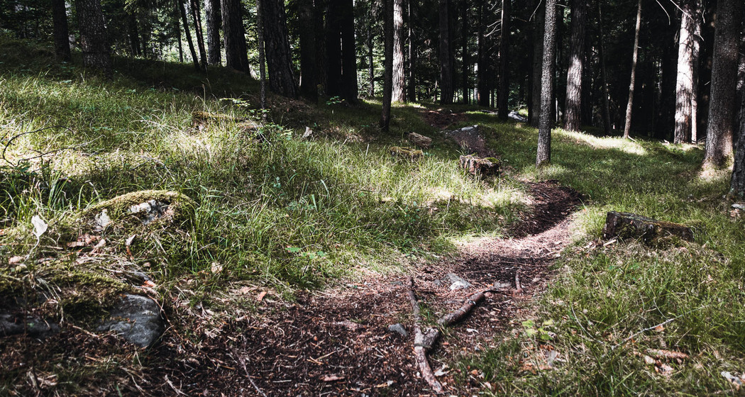 Maschänser Scalära Trail