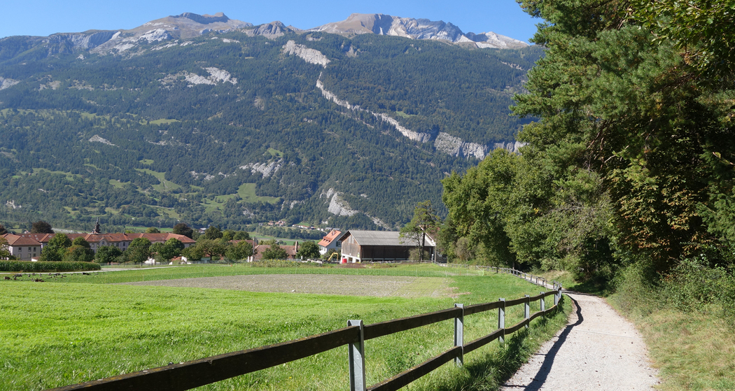 Fürstenwald mit Blick zum Calanda