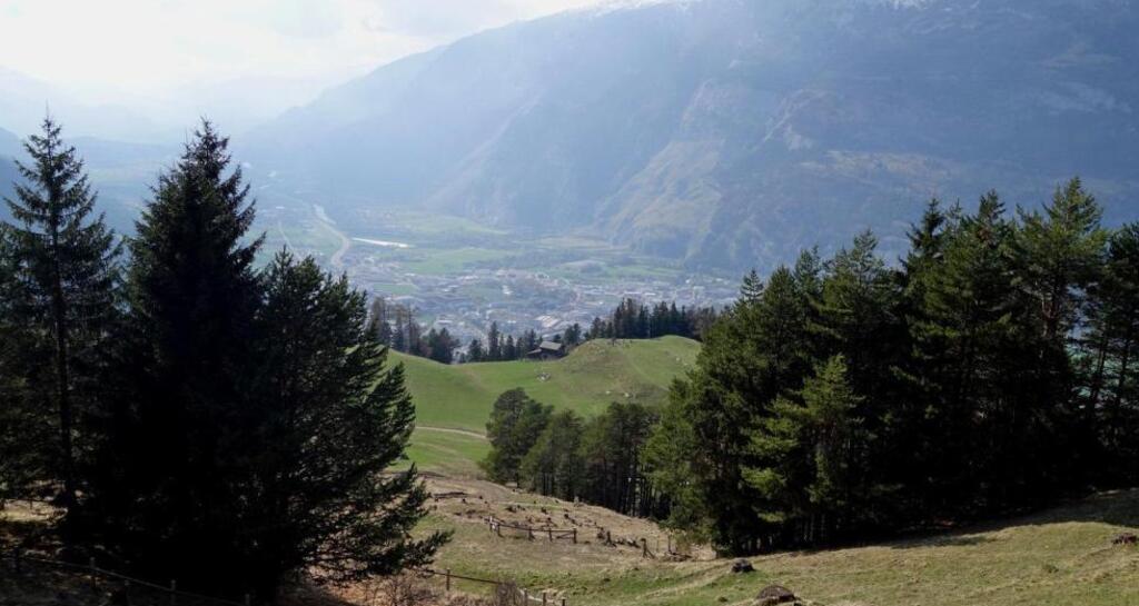 Blick auf den Mittenberg und die Stadt Chur