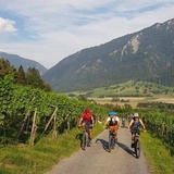 Aufstieg durch die Weinreben oberhalb Felsberg