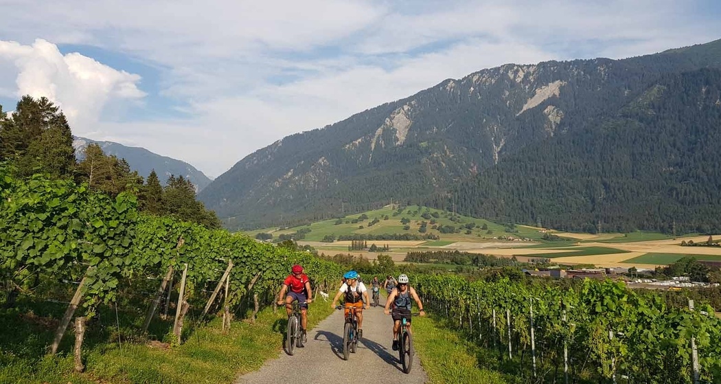 Aufstieg durch die Weinreben oberhalb Felsberg