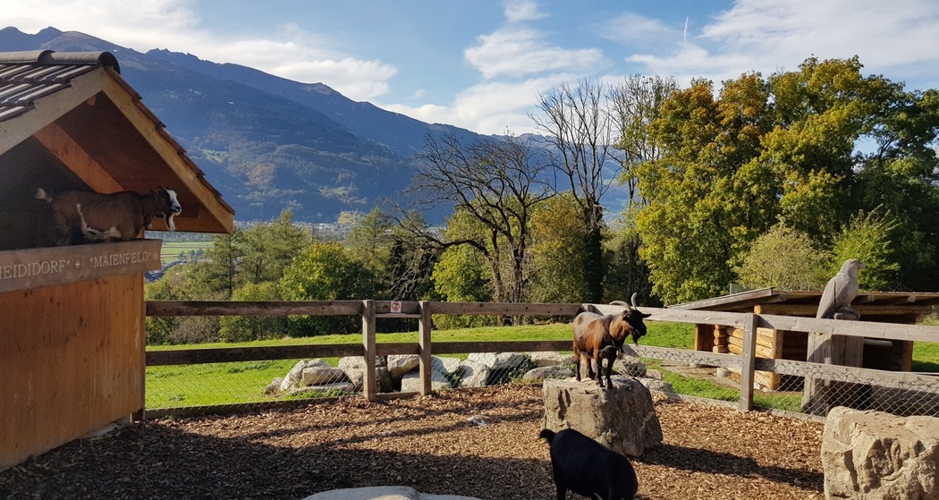 Heididorf, Maienfeld