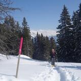 Aufstieg nach dem Spundiswald