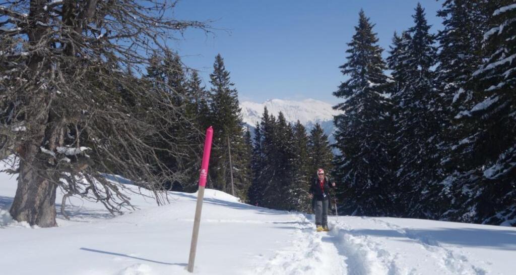 Aufstieg nach dem Spundiswald