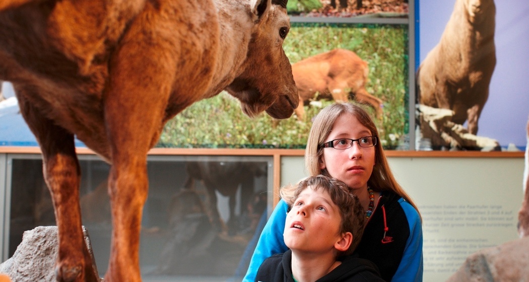 Bündner Naturmuseum