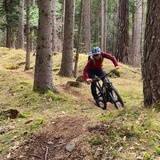 Scalära Trail im Fürstenwald