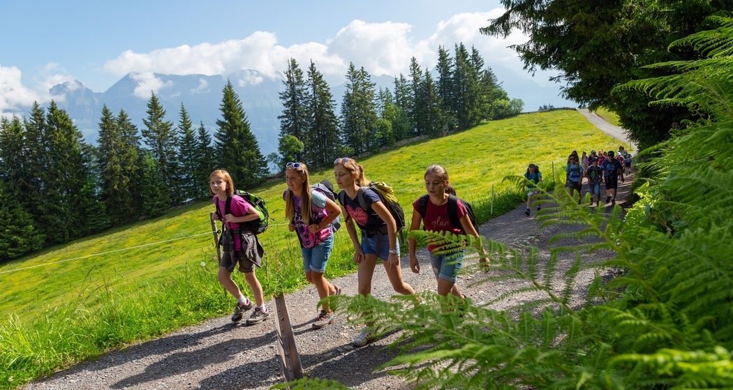 Tannenboden - Seeben