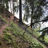 Antennatrail Brambrüesch