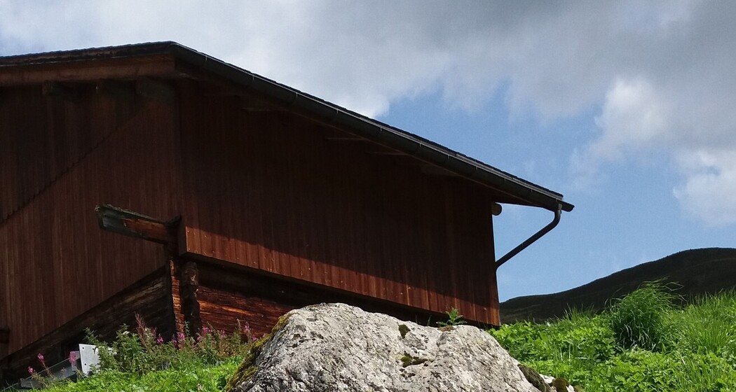 La scala al panorama - Die Treppe zum Panorama