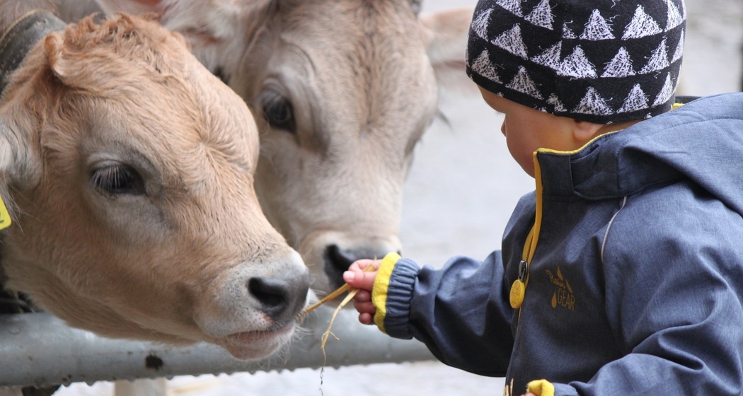 Hofladen Güdahof Tschiertschen