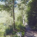 Uferweg am Alpenrhein