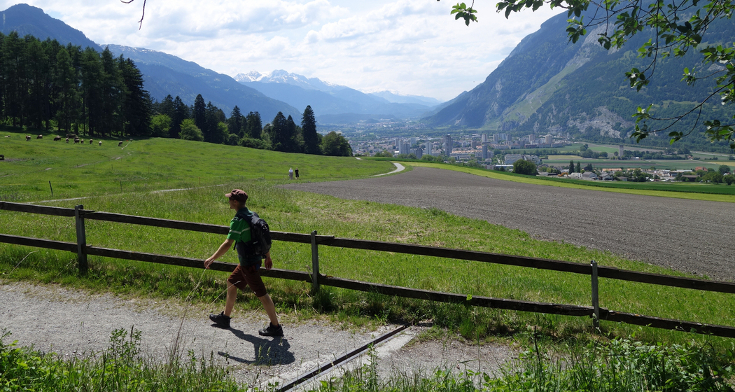 Beim Fürstenwald mit Aussicht ins Rheintal