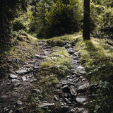 Trimmiser Rüfe Trail