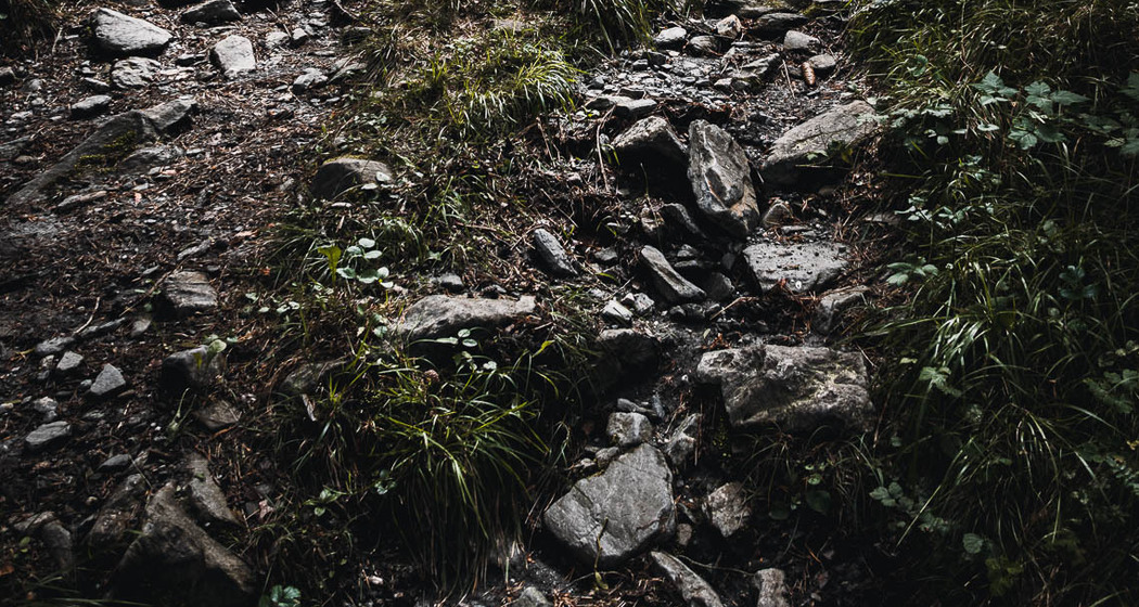 Trimmiser Rüfe Trail