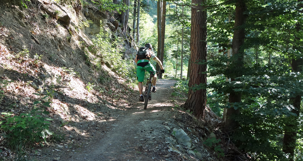 Trail-Spass in den Wäldern