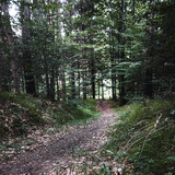 Fürstenwald Green Familientour