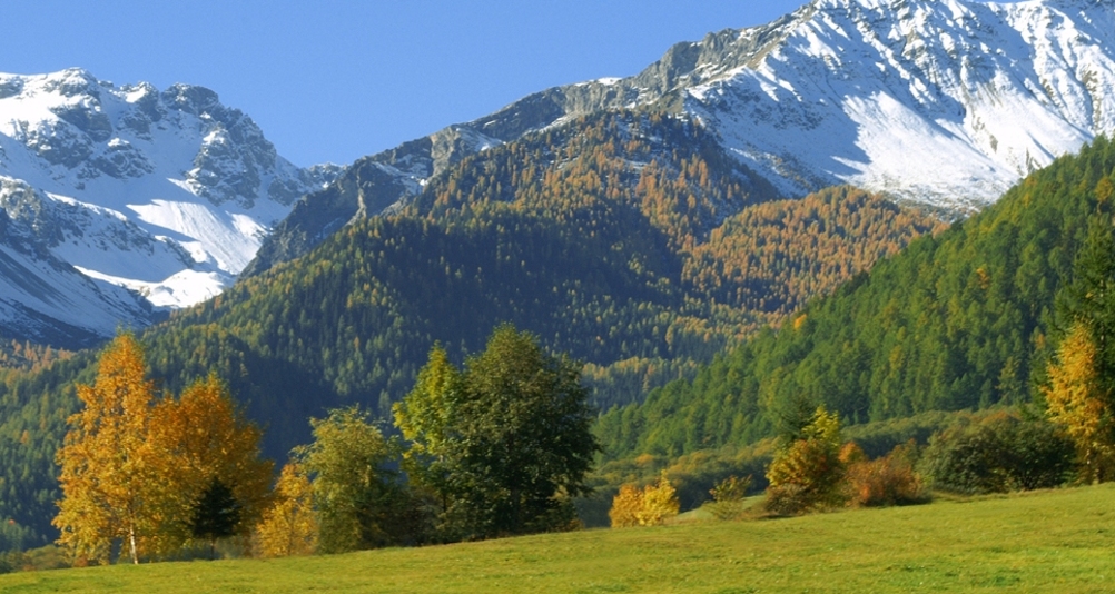 img_y2n-w7v_hjhge_y2w