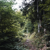 Kaltbrunntobel-Trail