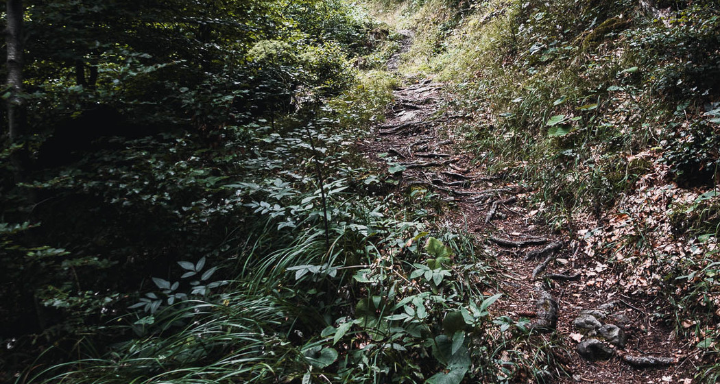 Kaltbrunntobel-Trail