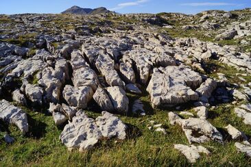 Dolomit auf der Hochebene von Schaffans (oua_35258598_image)