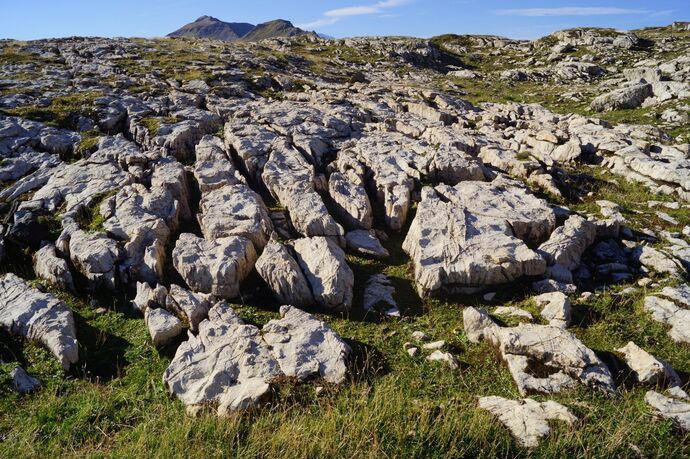 Dolomit auf der Hochebene von Schaffans (oua_35258598_image)