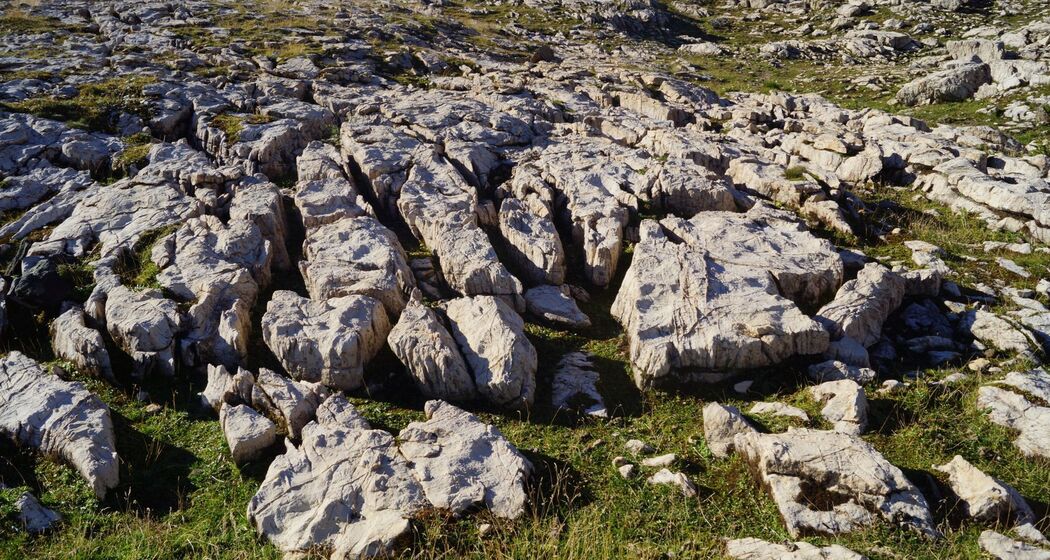 Dolomit auf der Hochebene von Schaffans (oua_35258598_image)