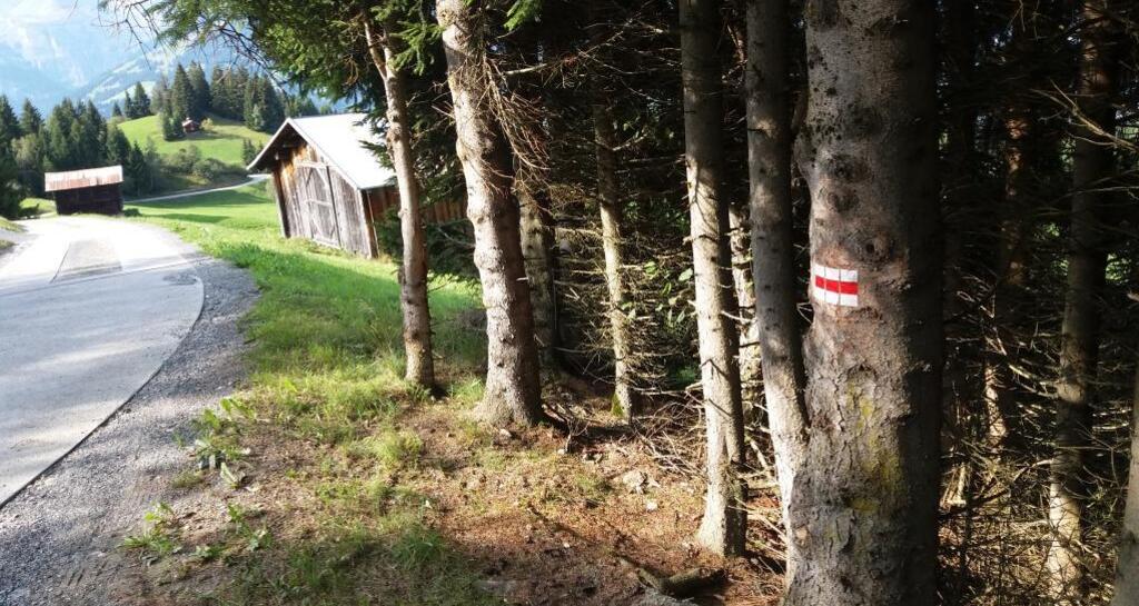 Inslas d’uaul - Waldinseln