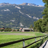 Fürstenwald mit Blick zum Calanda