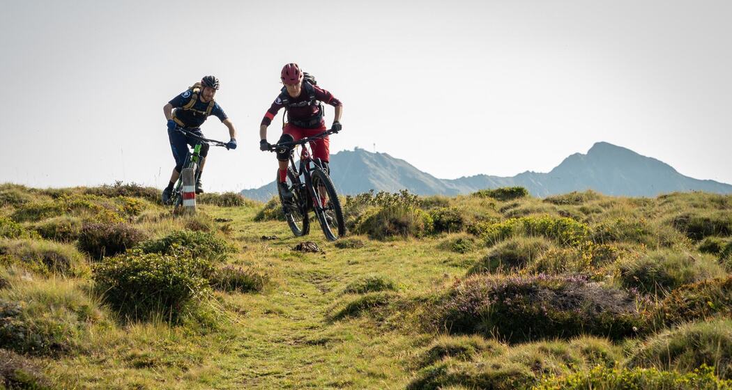 42d91930-e5b1-4613-a1f6-b5a0bdda03a1