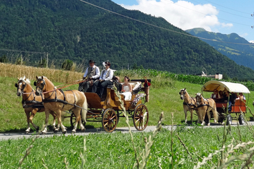 Kutschenfahrten Scalärahof